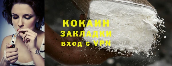 шишки Арсеньев