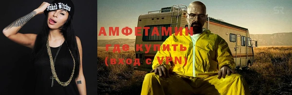 шишки Арсеньев