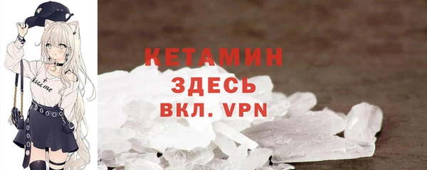 шишки Арсеньев