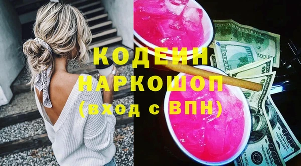шишки Арсеньев